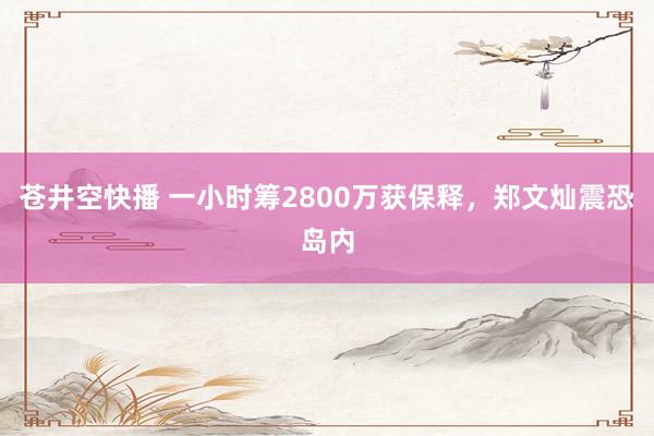 苍井空快播 一小时筹2800万获保释，郑文灿震恐岛内