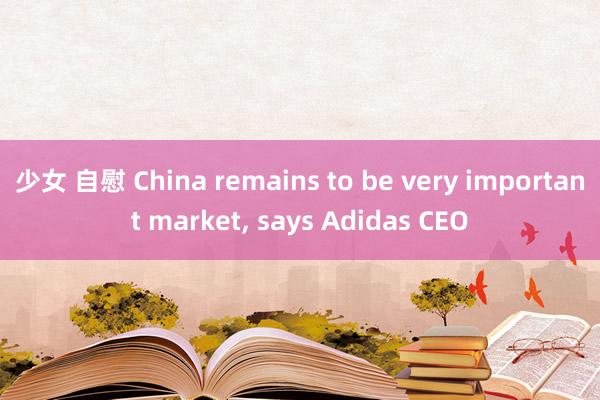 少女 自慰 China remains to be very important market， says Adidas CEO