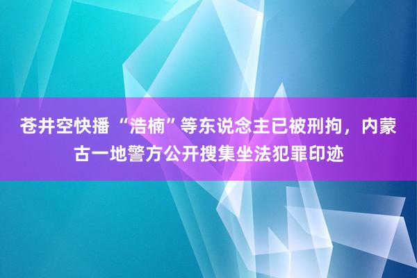 苍井空快播 “浩楠”等东说念主已被刑拘，内蒙古一地警方公开搜集坐法犯罪印迹