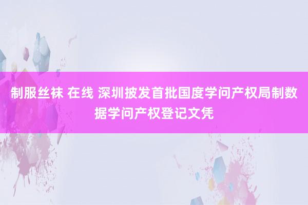 制服丝袜 在线 深圳披发首批国度学问产权局制数据学问产权登记文凭