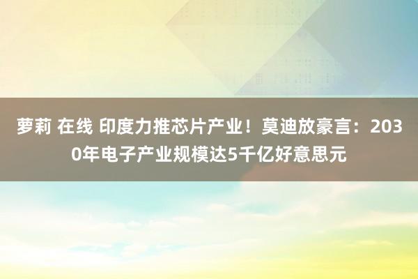 萝莉 在线 印度力推芯片产业！莫迪放豪言：2030年电子产业规模达5千亿好意思元