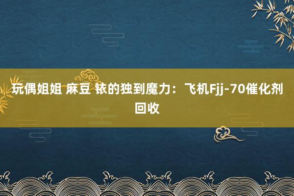 玩偶姐姐 麻豆 铱的独到魔力：飞机Fjj-70催化剂回收