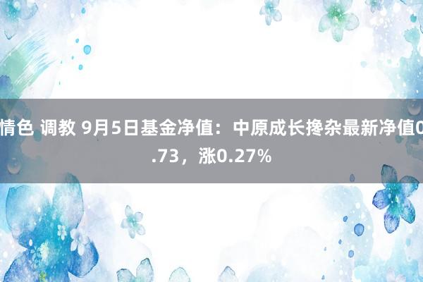 情色 调教 9月5日基金净值：中原成长搀杂最新净值0.73，涨0.27%