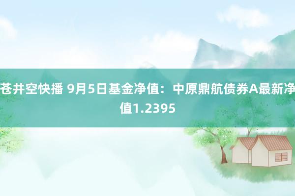 苍井空快播 9月5日基金净值：中原鼎航债券A最新净值1.2395