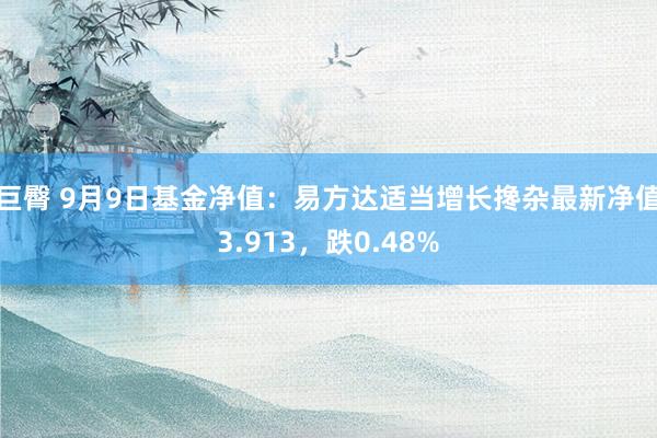 巨臀 9月9日基金净值：易方达适当增长搀杂最新净值3.913，跌0.48%