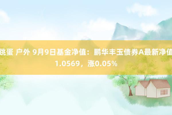 跳蛋 户外 9月9日基金净值：鹏华丰玉债券A最新净值1.0569，涨0.05%