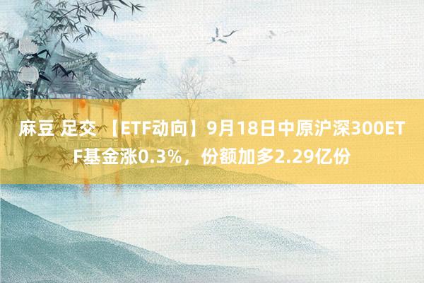 麻豆 足交 【ETF动向】9月18日中原沪深300ETF基金涨0.3%，份额加多2.29亿份