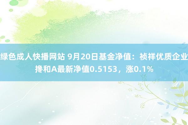 绿色成人快播网站 9月20日基金净值：祯祥优质企业搀和A最新净值0.5153，涨0.1%