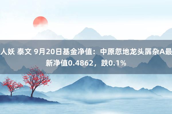 人妖 泰文 9月20日基金净值：中原忽地龙头羼杂A最新净值0.4862，跌0.1%