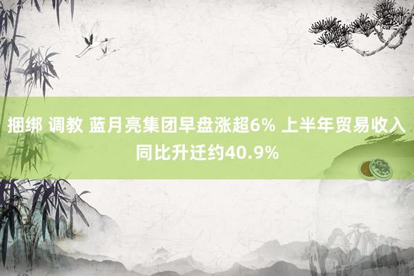 捆绑 调教 蓝月亮集团早盘涨超6% 上半年贸易收入同比升迁约40.9%