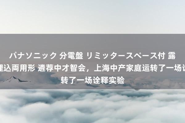 パナソニック 分電盤 リミッタースペース付 露出・半埋込両用形 遴荐中才智会，上海中产家庭运转了一场诠释实验