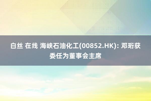 白丝 在线 海峡石油化工(00852.HK): 邓珩获委任为董事会主席