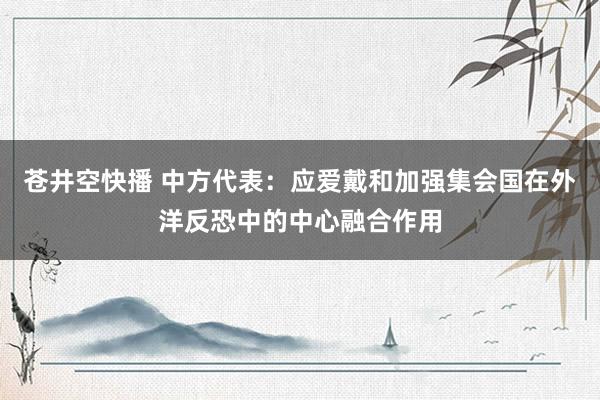 苍井空快播 中方代表：应爱戴和加强集会国在外洋反恐中的中心融合作用