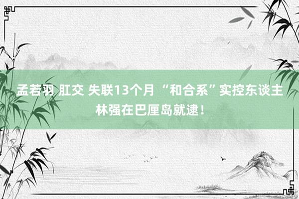 孟若羽 肛交 失联13个月 “和合系”实控东谈主林强在巴厘岛就逮！