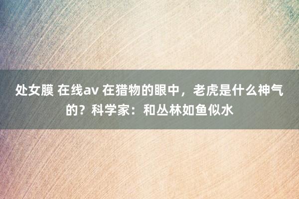 处女膜 在线av 在猎物的眼中，老虎是什么神气的？科学家：和丛林如鱼似水