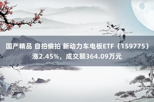 国产精品 自拍偷拍 新动力车电板ETF（159775）涨2.45%，成交额364.09万元