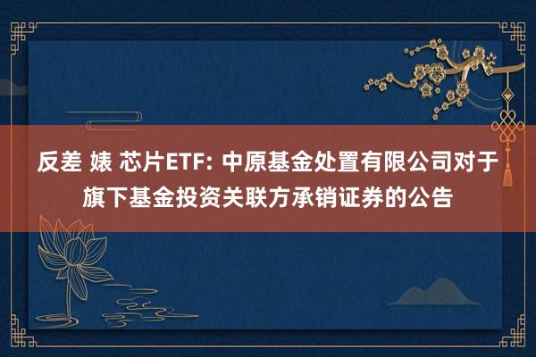 反差 婊 芯片ETF: 中原基金处置有限公司对于旗下基金投资关联方承销证券的公告