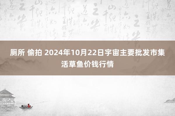 厕所 偷拍 2024年10月22日宇宙主要批发市集活草鱼价钱行情