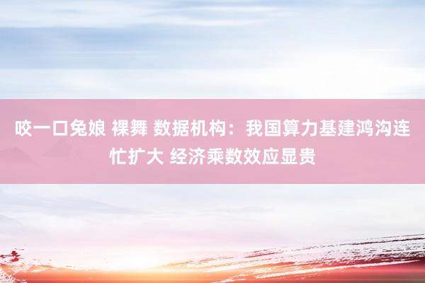 咬一口兔娘 裸舞 数据机构：我国算力基建鸿沟连忙扩大 经济乘数效应显贵