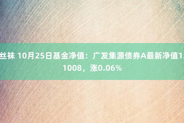 丝袜 10月25日基金净值：广发集源债券A最新净值1.1008，涨0.06%