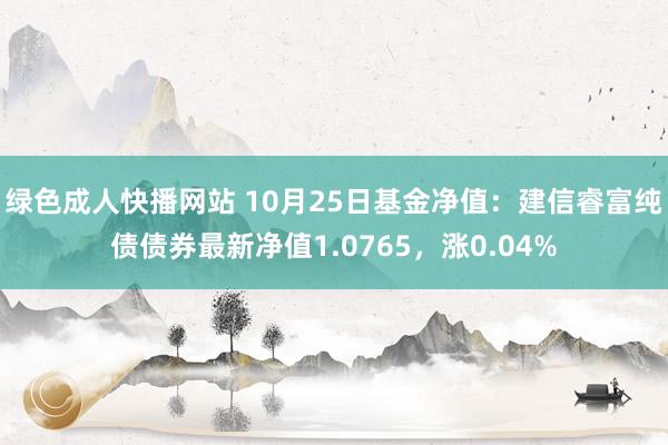 绿色成人快播网站 10月25日基金净值：建信睿富纯债债券最新净值1.0765，涨0.04%