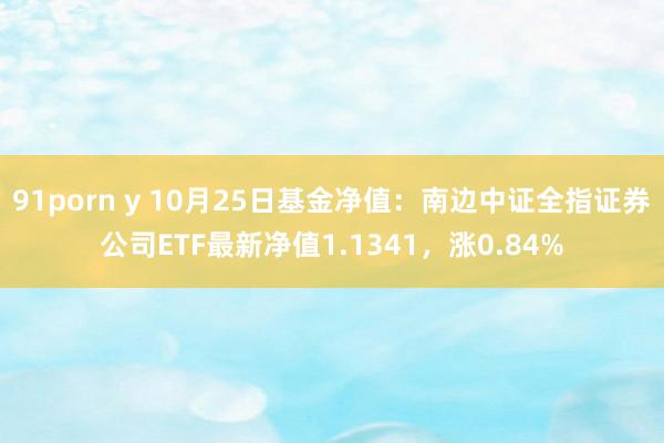 91porn y 10月25日基金净值：南边中证全指证券公司ETF最新净值1.1341，涨0.84%