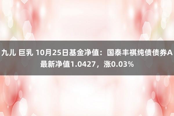 九儿 巨乳 10月25日基金净值：国泰丰祺纯债债券A最新净值1.0427，涨0.03%