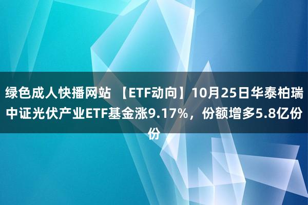 绿色成人快播网站 【ETF动向】10月25日华泰柏瑞中证光伏产业ETF基金涨9.17%，份额增多5.8亿份