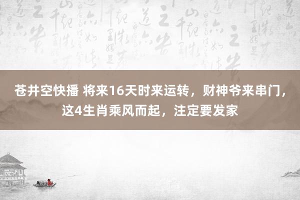 苍井空快播 将来16天时来运转，财神爷来串门，这4生肖乘风而起，注定要发家