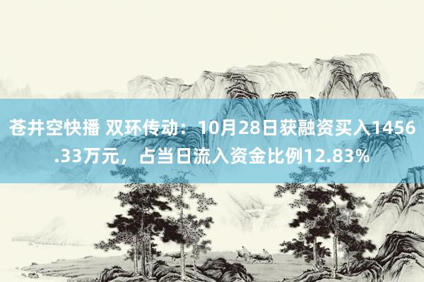 苍井空快播 双环传动：10月28日获融资买入1456.33万元，占当日流入资金比例12.83%