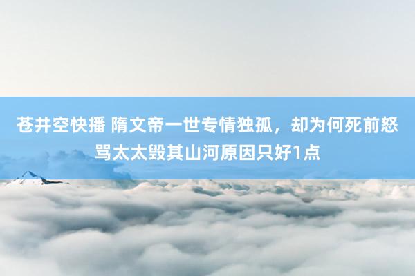 苍井空快播 隋文帝一世专情独孤，却为何死前怒骂太太毁其山河原因只好1点