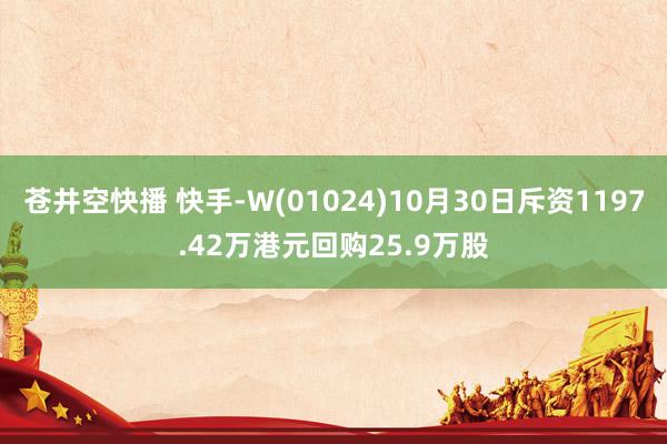 苍井空快播 快手-W(01024)10月30日斥资1197.42万港元回购25.9万股