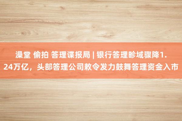 澡堂 偷拍 答理谍报局 | 银行答理畛域骤降1.24万亿，头部答理公司敕令发力鼓舞答理资金入市