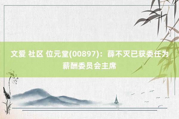 文爱 社区 位元堂(00897)：薛不灭已获委任为薪酬委员会主席