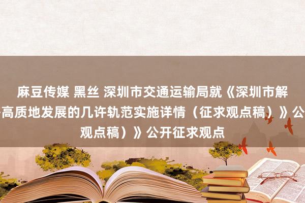 麻豆传媒 黑丝 深圳市交通运输局就《深圳市解救低空经济高质地发展的几许轨范实施详情（征求观点稿）》公开征求观点