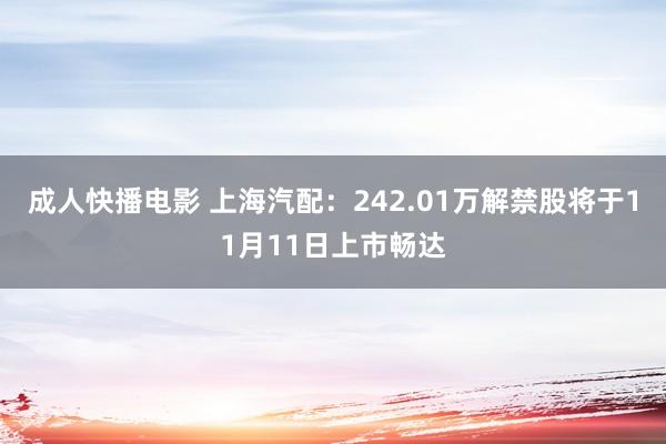 成人快播电影 上海汽配：242.01万解禁股将于11月11日上市畅达