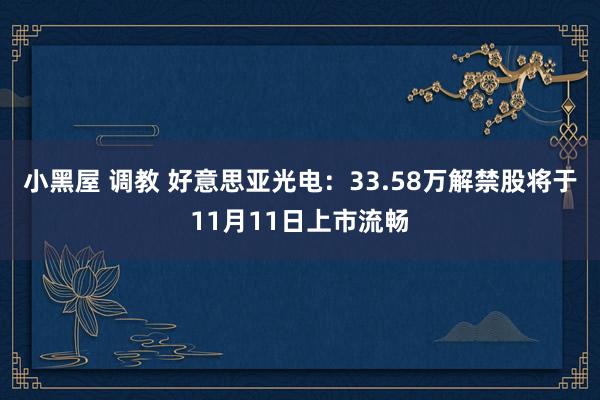 小黑屋 调教 好意思亚光电：33.58万解禁股将于11月11日上市流畅