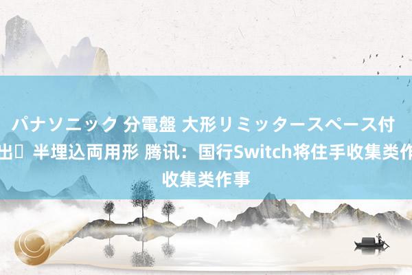 パナソニック 分電盤 大形リミッタースペース付 露出・半埋込両用形 腾讯：国行Switch将住手收集类作事