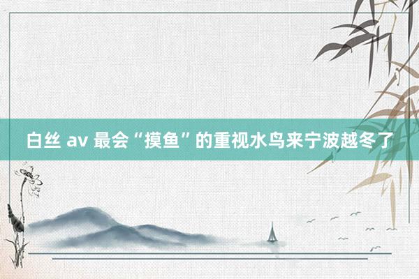 白丝 av 最会“摸鱼”的重视水鸟来宁波越冬了