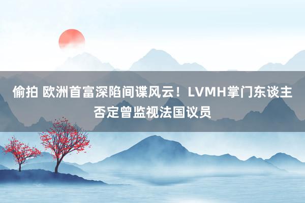 偷拍 欧洲首富深陷间谍风云！LVMH掌门东谈主否定曾监视法国议员