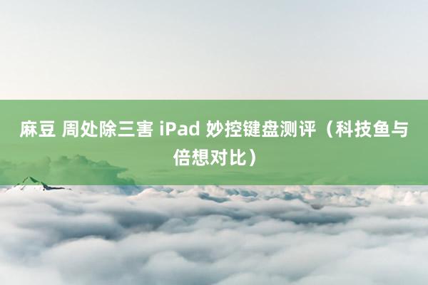 麻豆 周处除三害 iPad 妙控键盘测评（科技鱼与倍想对比）