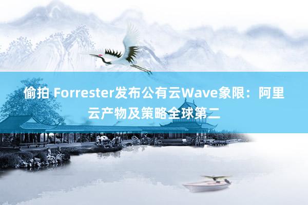 偷拍 Forrester发布公有云Wave象限：阿里云产物及策略全球第二