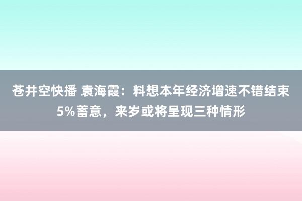 苍井空快播 袁海霞：料想本年经济增速不错结束5%蓄意，来岁或将呈现三种情形