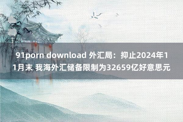 91porn download 外汇局：抑止2024年11月末 我海外汇储备限制为32659亿好意思元