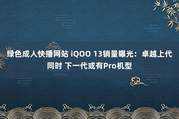 绿色成人快播网站 iQOO 13销量曝光：卓越上代同时 下一代或有Pro机型