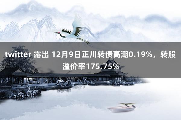 twitter 露出 12月9日正川转债高潮0.19%，转股溢价率175.75%