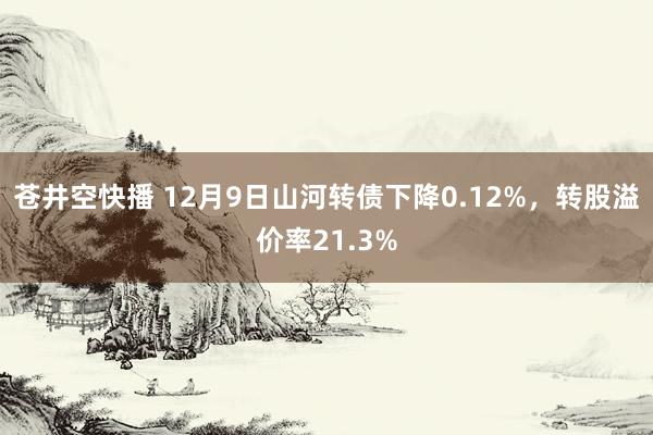 苍井空快播 12月9日山河转债下降0.12%，转股溢价率21.3%