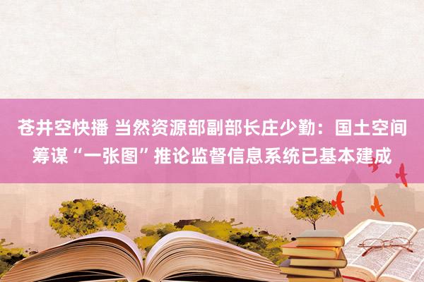 苍井空快播 当然资源部副部长庄少勤：国土空间筹谋“一张图”推论监督信息系统已基本建成