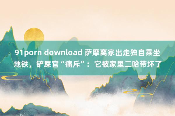 91porn download 萨摩离家出走独自乘坐地铁，铲屎官“痛斥”：它被家里二哈带坏了