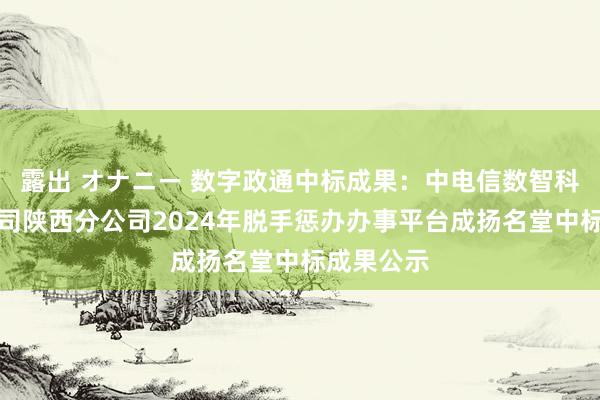 露出 オナニー 数字政通中标成果：中电信数智科技有限公司陕西分公司2024年脱手惩办办事平台成扬名堂中标成果公示